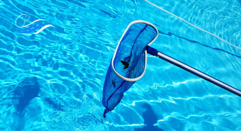 Akcesoria do czyszczenia basenu – przewodnik od Pool Aqua